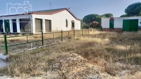 Foto 3 de Finca rústica en venta en Almonte ciudad, Almonte