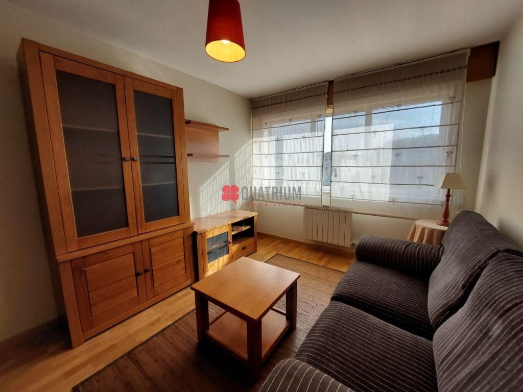 Living room of Flat to rent in Santiago de Compostela   with Heating, Storage room and Furnished