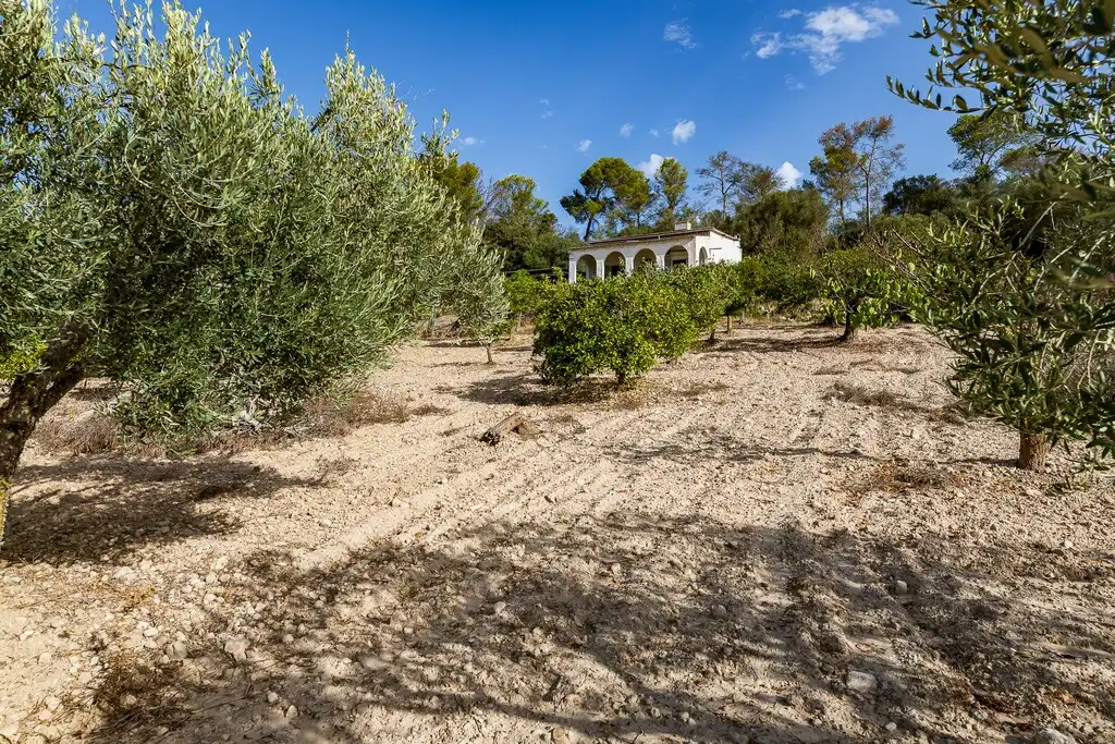 Casa rustica con giardino in vendita a Algaida, imagen 37
