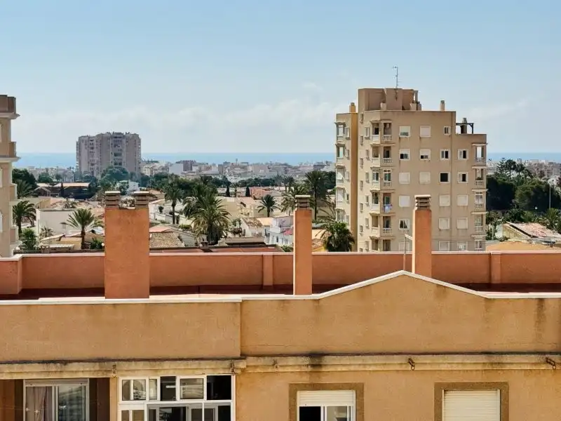 Vista exterior de Apartament en venda en Torrevieja amb Terrassa, Piscina i Moblat