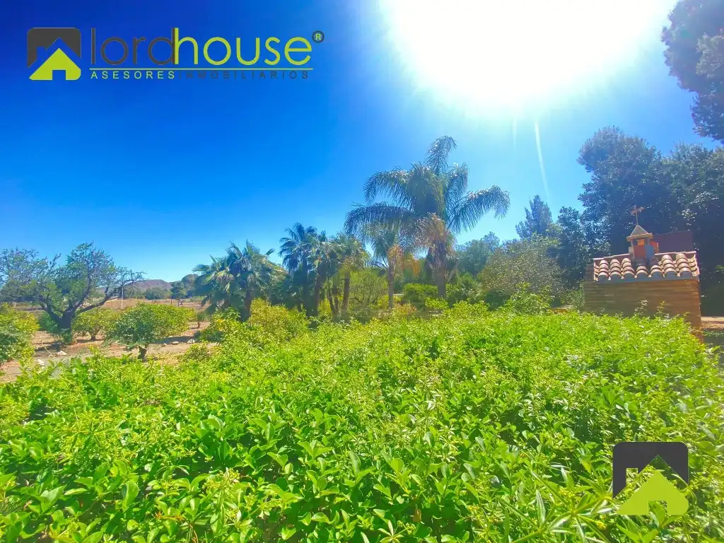 Houses for sale in Lorca