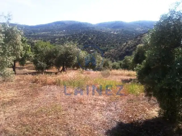 Residential land for sale in Espiel, imagen 5