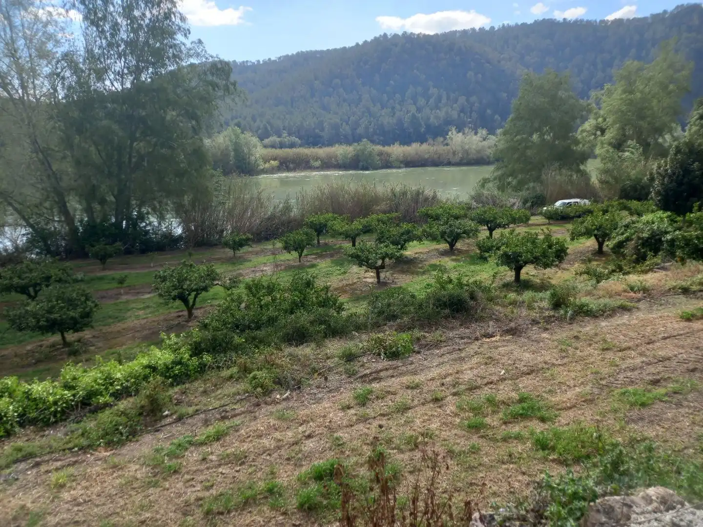 Terreny rústic en venda a Miravet, imagen 33