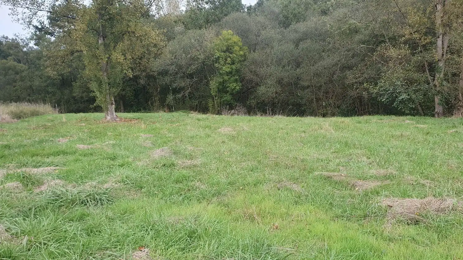 Residencial en venta en Oviedo 