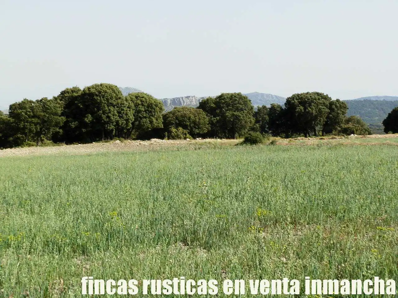 Terreno rustico in vendita a Caravaca de la Cruz, imagen 5
