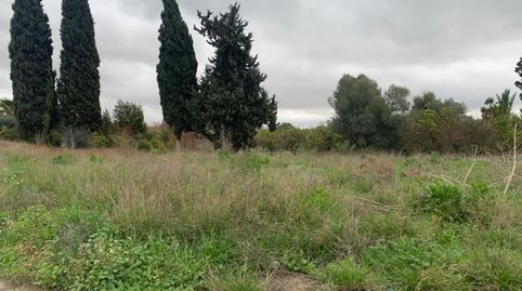 Foto 4 de Terreno en venta en Alquerías, Murcia Capital