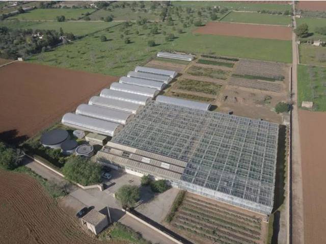 Local comercial en Venta en Llucmajor pueblo