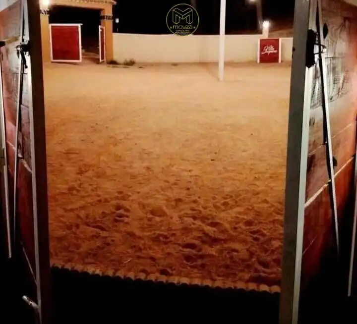 Xalet en venda a Andújar, imagen 12
