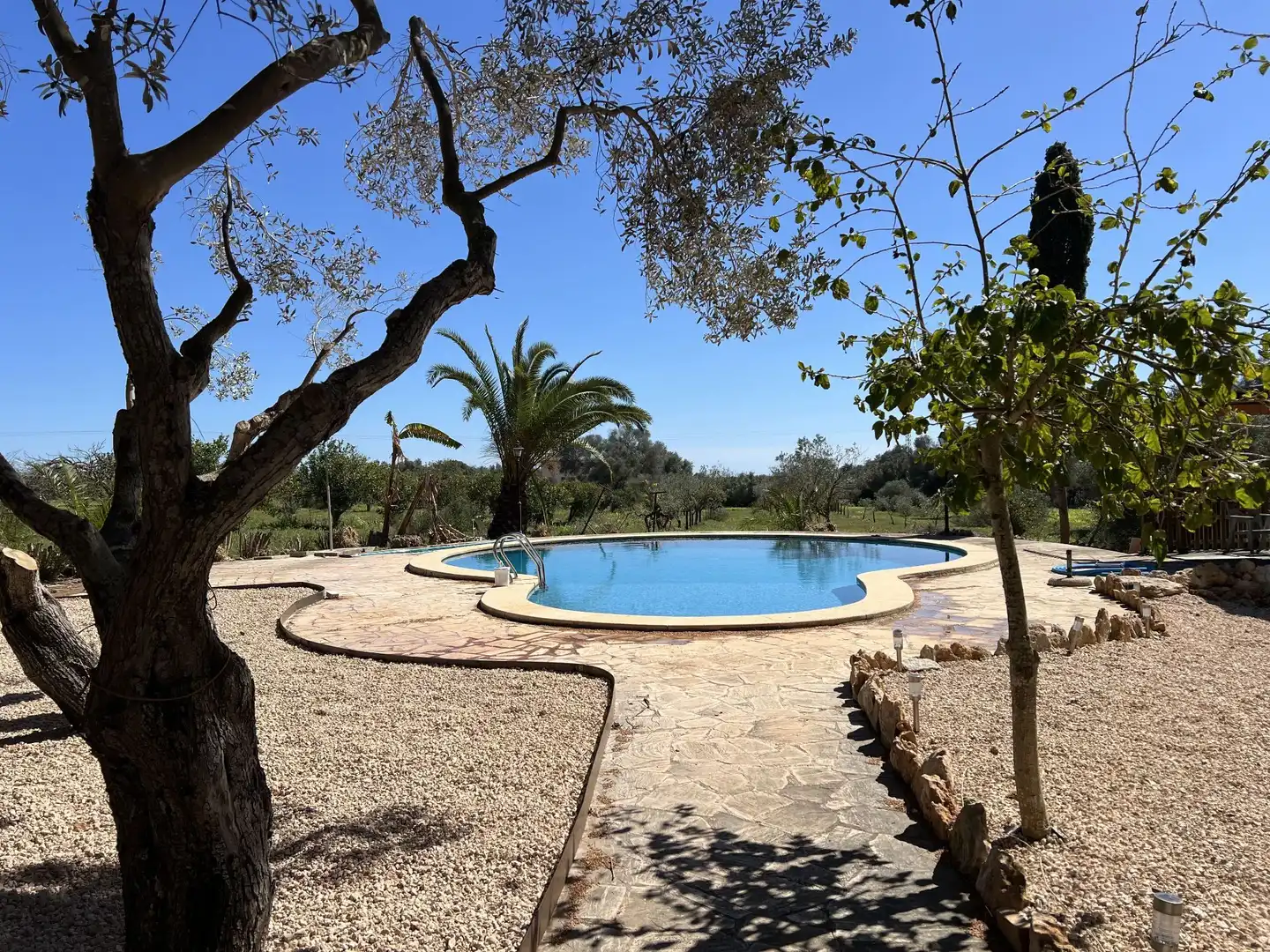 Piscina de Finca rústica de lloguer en Ses Salines amb Calefacció, Jardí privat i Piscina