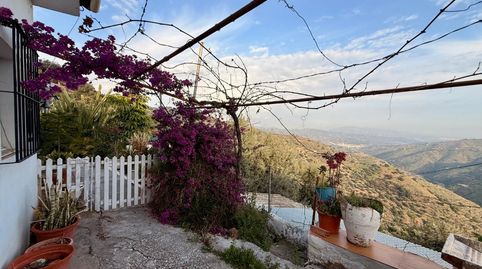 Foto 2 de Finca rústica en venta en Lugar Huerta Baja (alqueria), Comares, Málaga