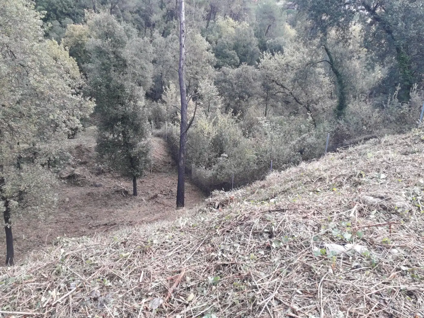 Wohnbaugrundstück zum Verkauf in can canyameres, imagen 6