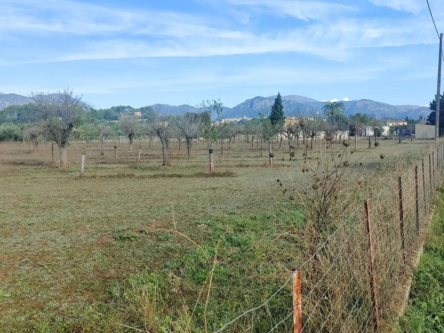 Terrain rustique à vendre à Camí Moscari 26, imagen 28