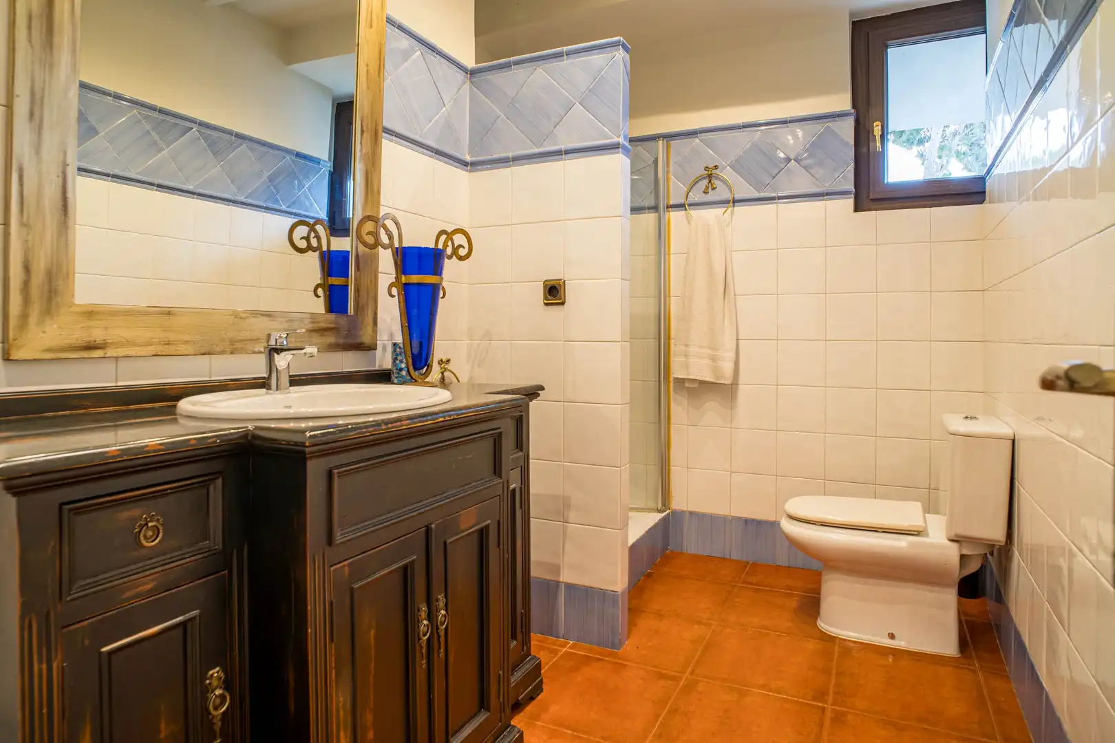 Bany de Casa o xalet en venda en Petrer