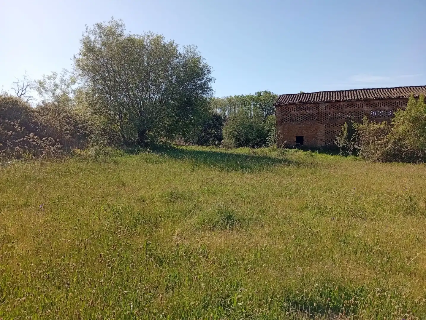 Terreni e lotti in vendita a Talaveruela de la Vera, imagen 82