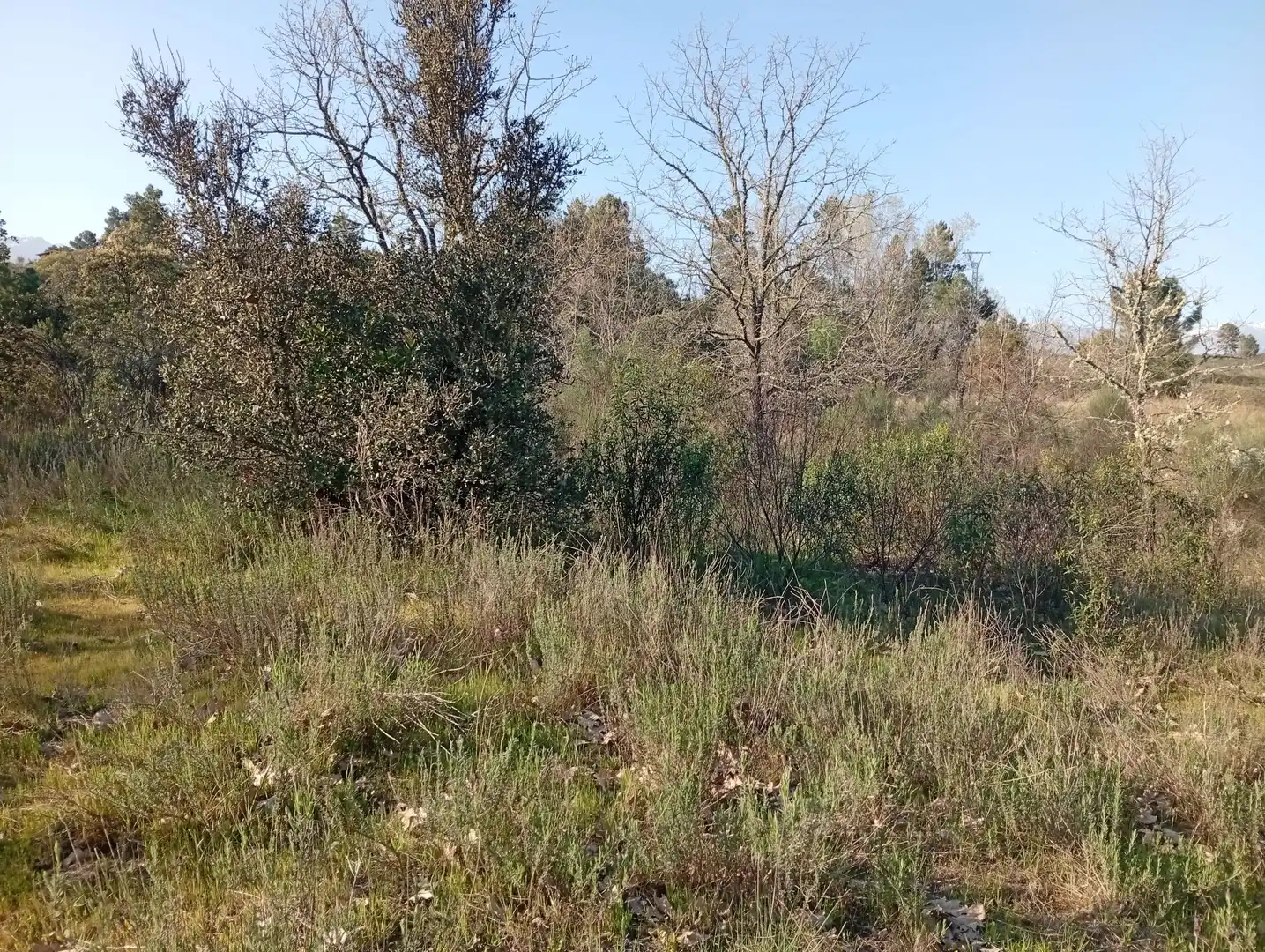 Terreni e lotti in vendita a Villanueva de la Vera, imagen 108