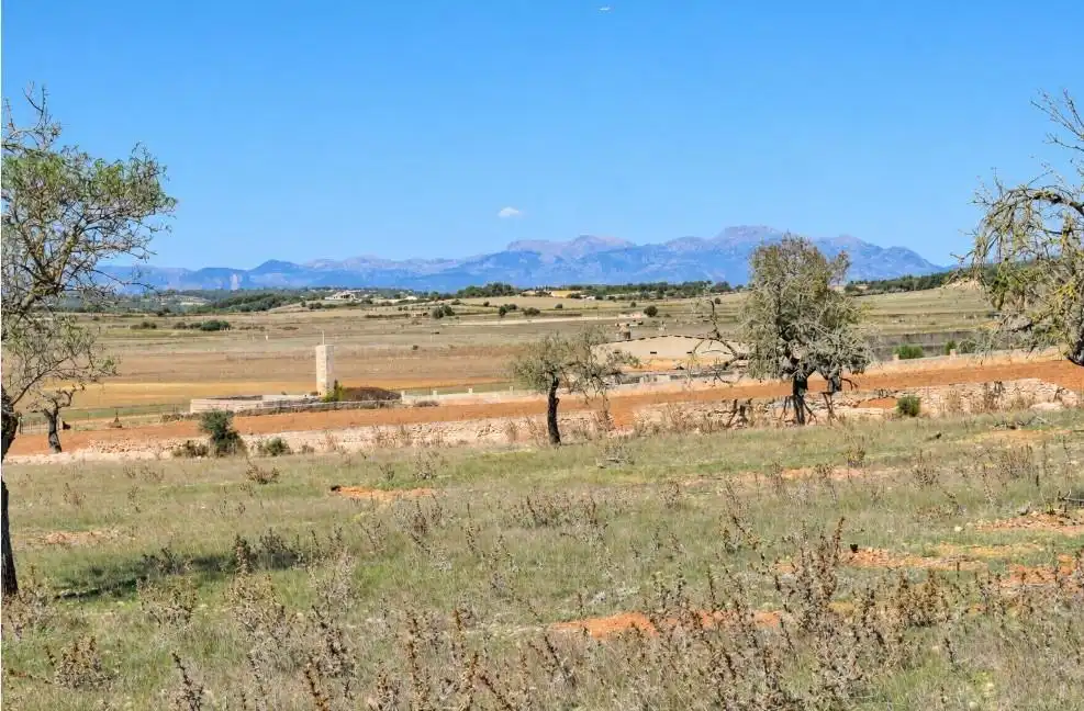 Terreny residencial en venda a Ariany