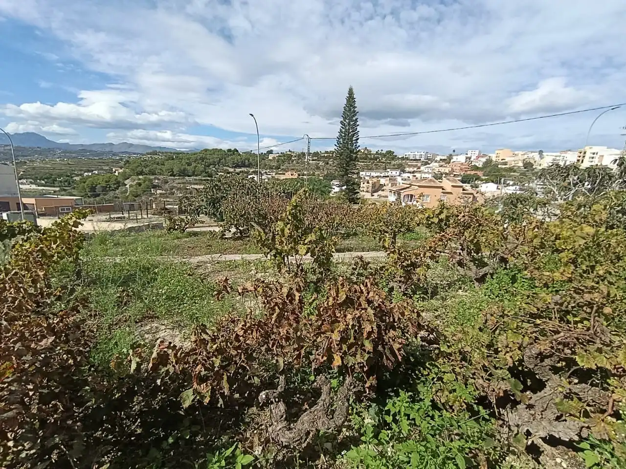 Adossat en venda a Les Fonts - Els Molins, imagen 27
