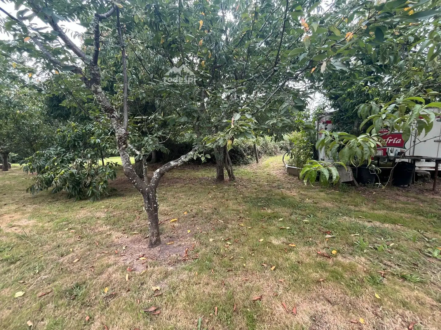 Rural land for sale in Covelo, imagen 11