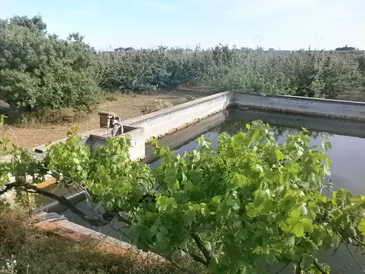 Rural land for sale in Camí del Recreo 25