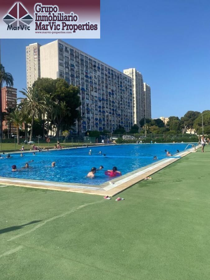 Piscina de Estudi en venda en Benidorm amb Jardí privat i Piscina comunitària