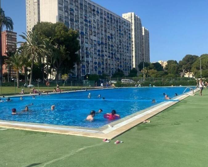 Photo 1 of Study for sale in Juzgados - Plaza de Toros, Alicante