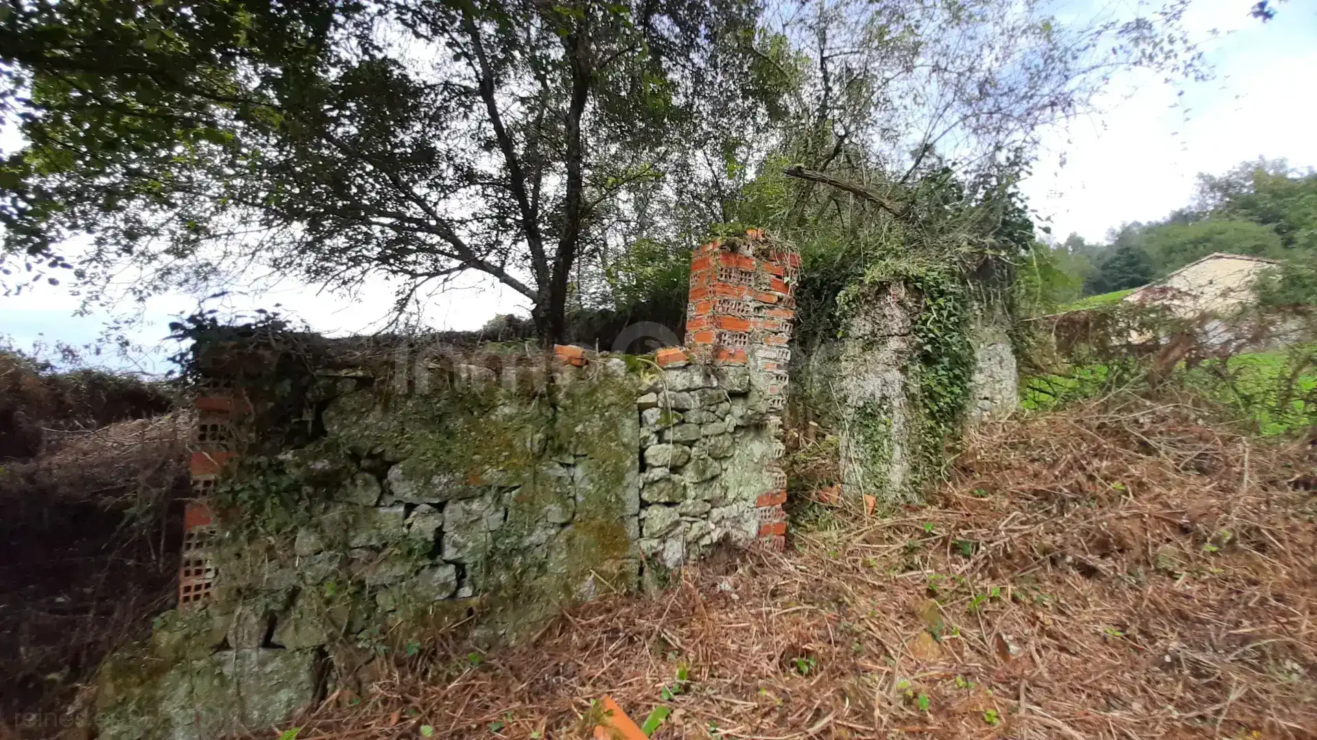 Terreno rustico in vendita a N/A, imagen 5