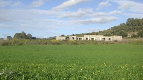 Finca rústica en Algaida con proyecto de venta