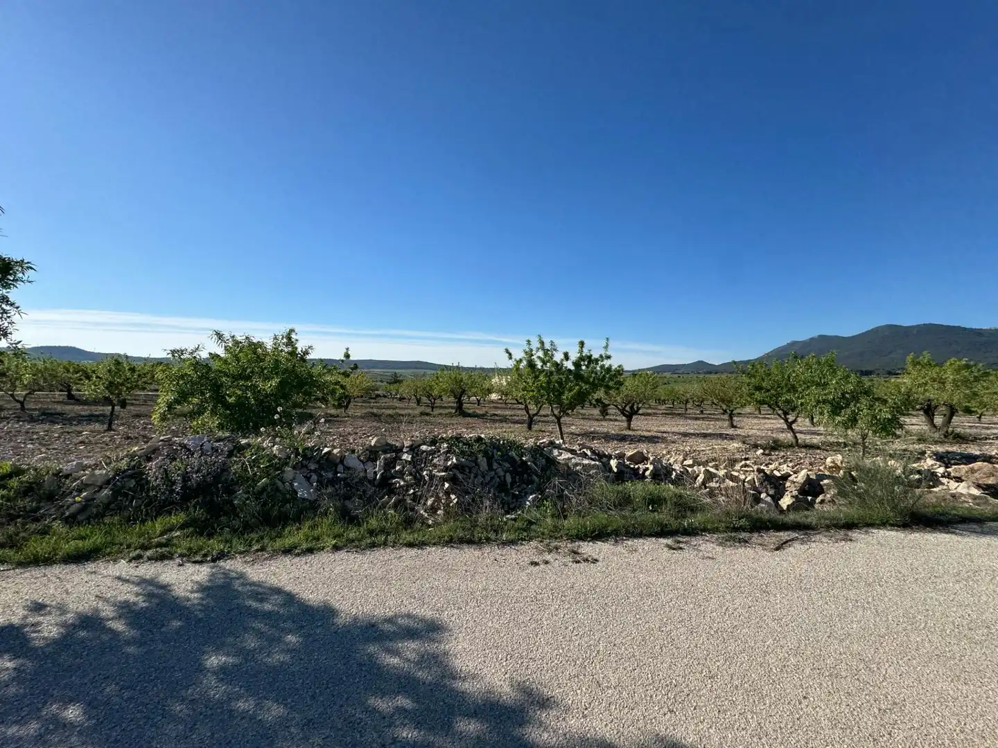 Casa con jardín en venta en Moratalla, imagen 18