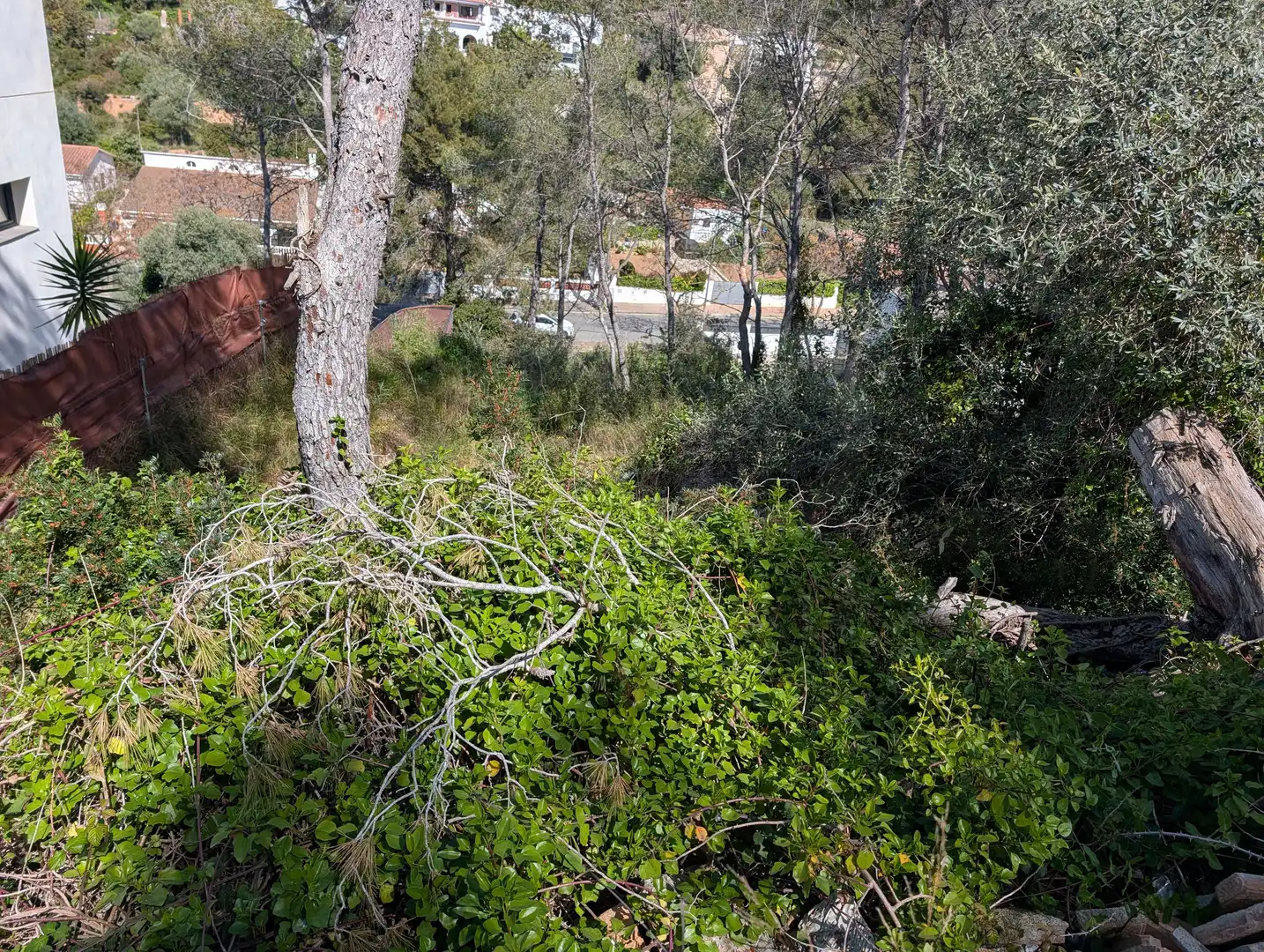 Residential land for sale in Carrer de les Torres, imagen 16