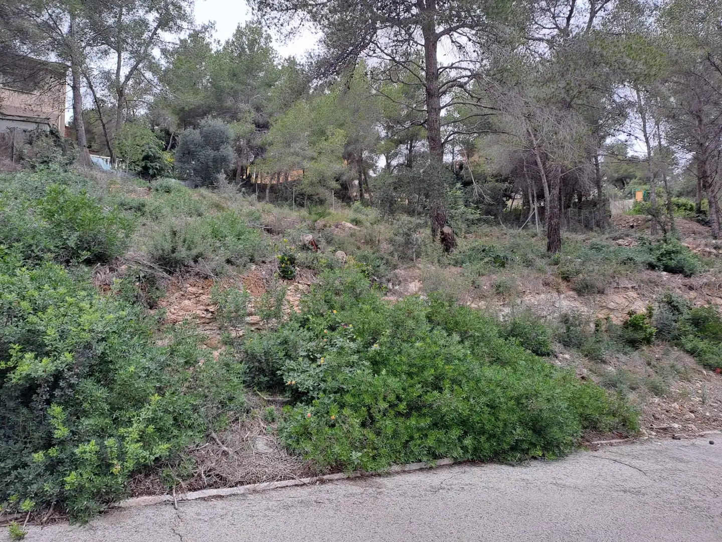 Wohnbaugrundstück zum Verkauf in Costa Cunit - Els Jardins - Els Rosers, imagen 2