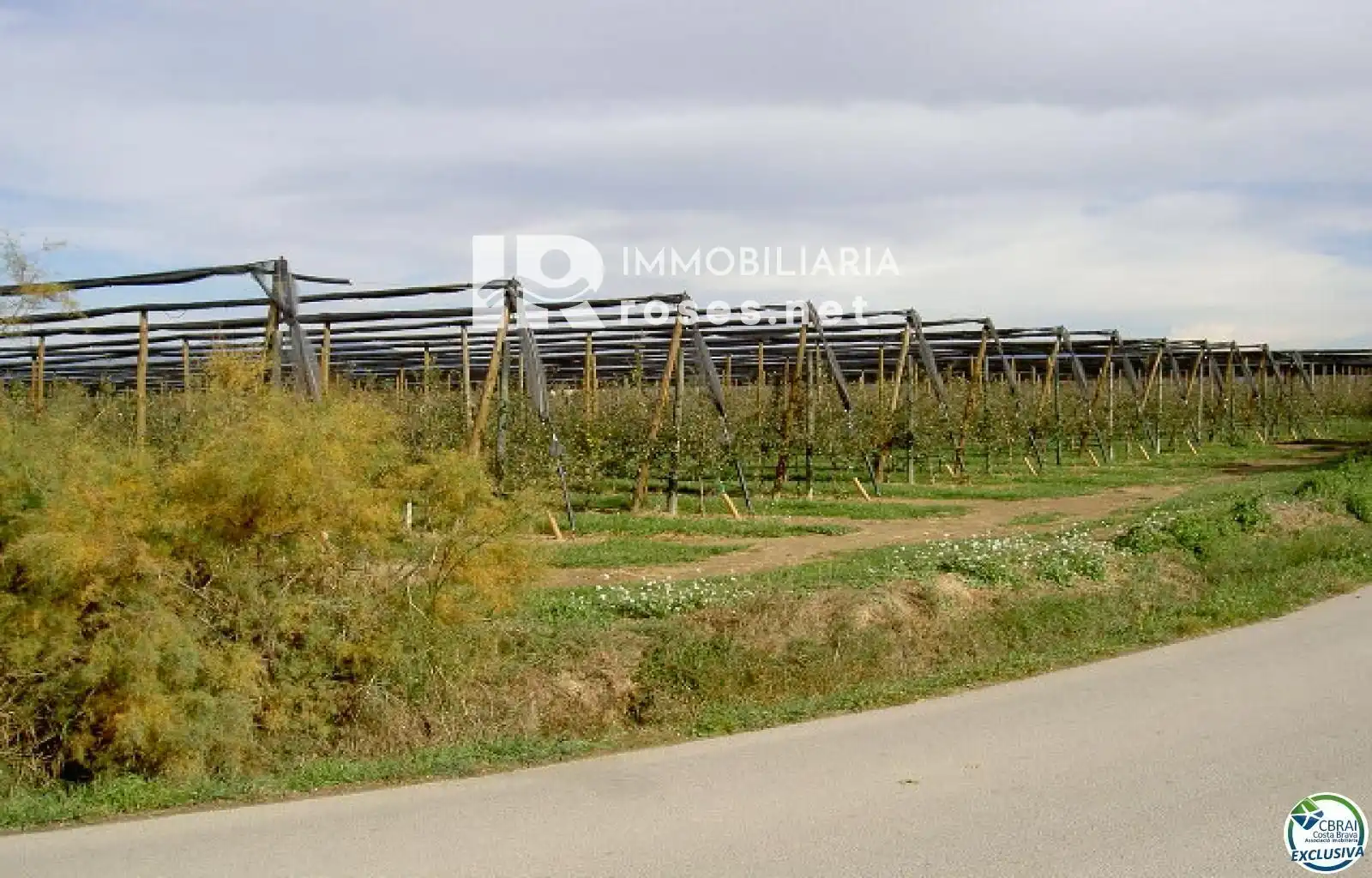 Rural land for sale in cortal vell, imagen 18