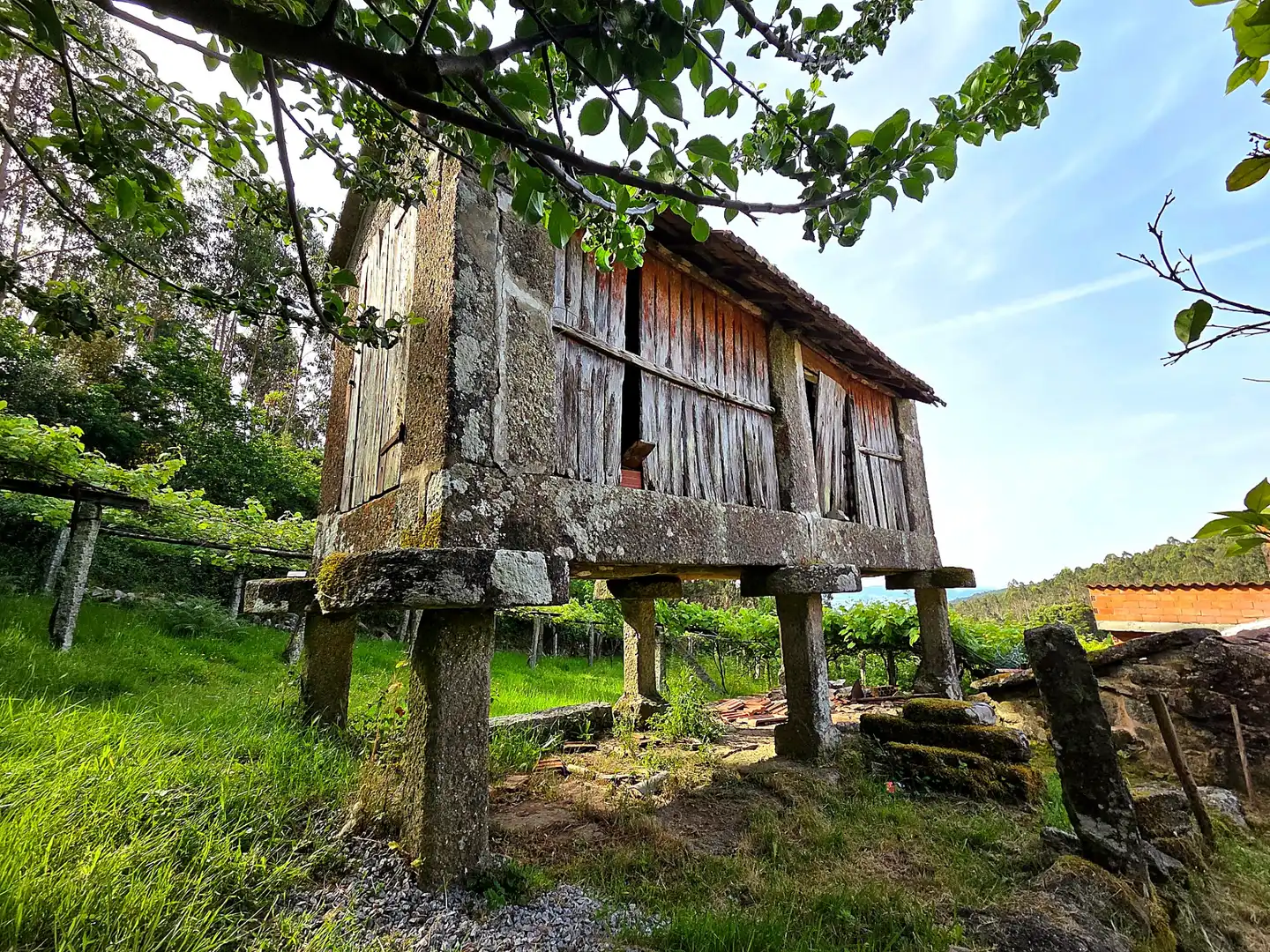 Vista exterior de Finca rústica en venta en Meis con Jardín privado y Terraza