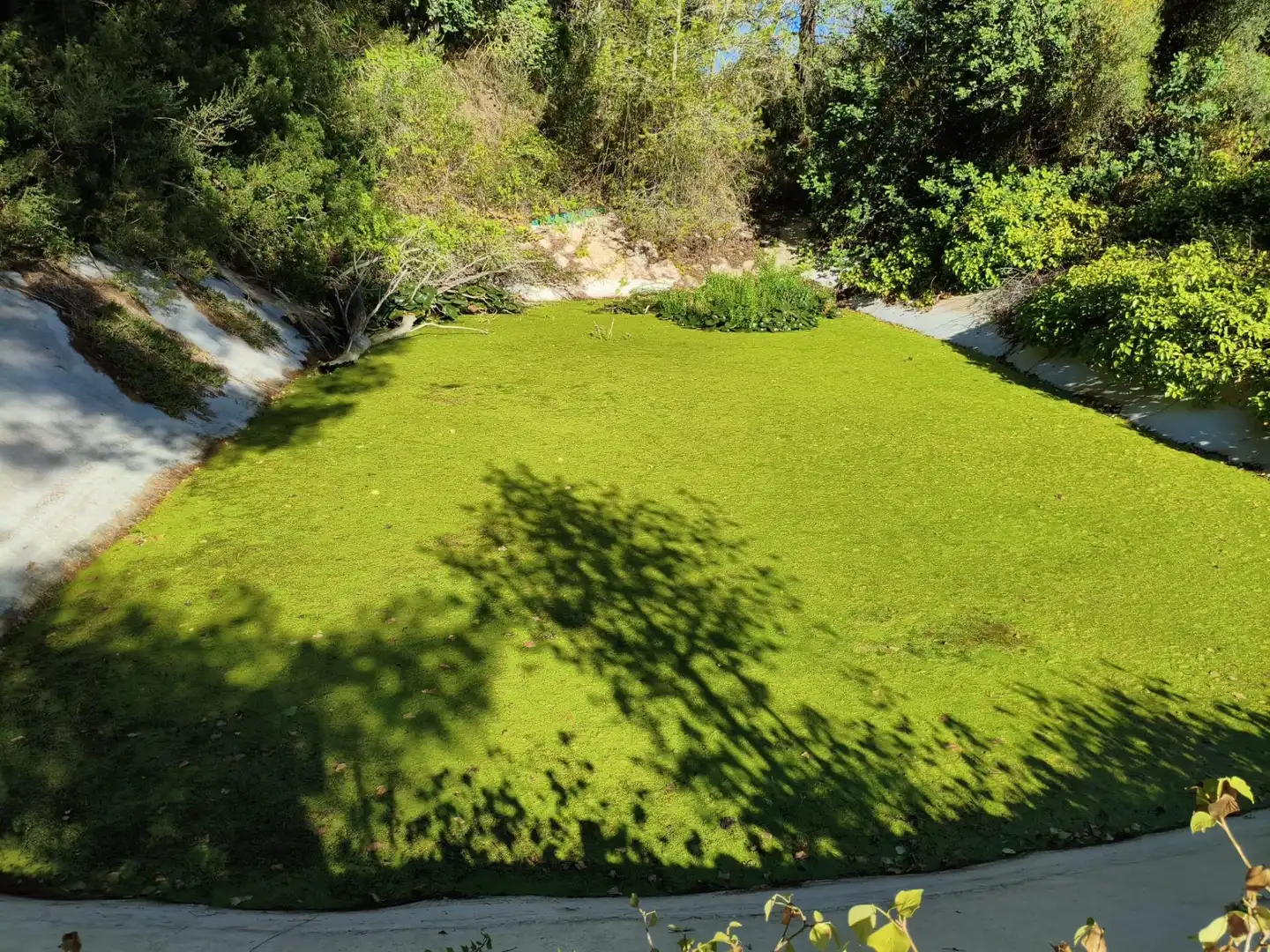 Country house with garden for sale in Costa de son Trias 1, imagen 38