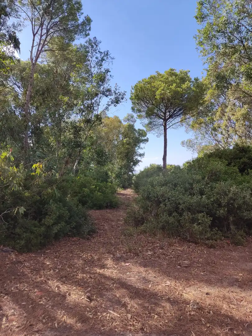 Terreni e lotti in vendita a Las Lagunas - Campano, imagen 7