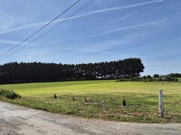 Terreni e lotti in vendita a Lugar Campos