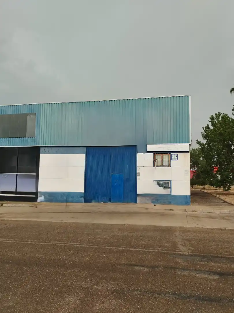 Nave industrielle à vendre à Calle Poligono los Caños 452