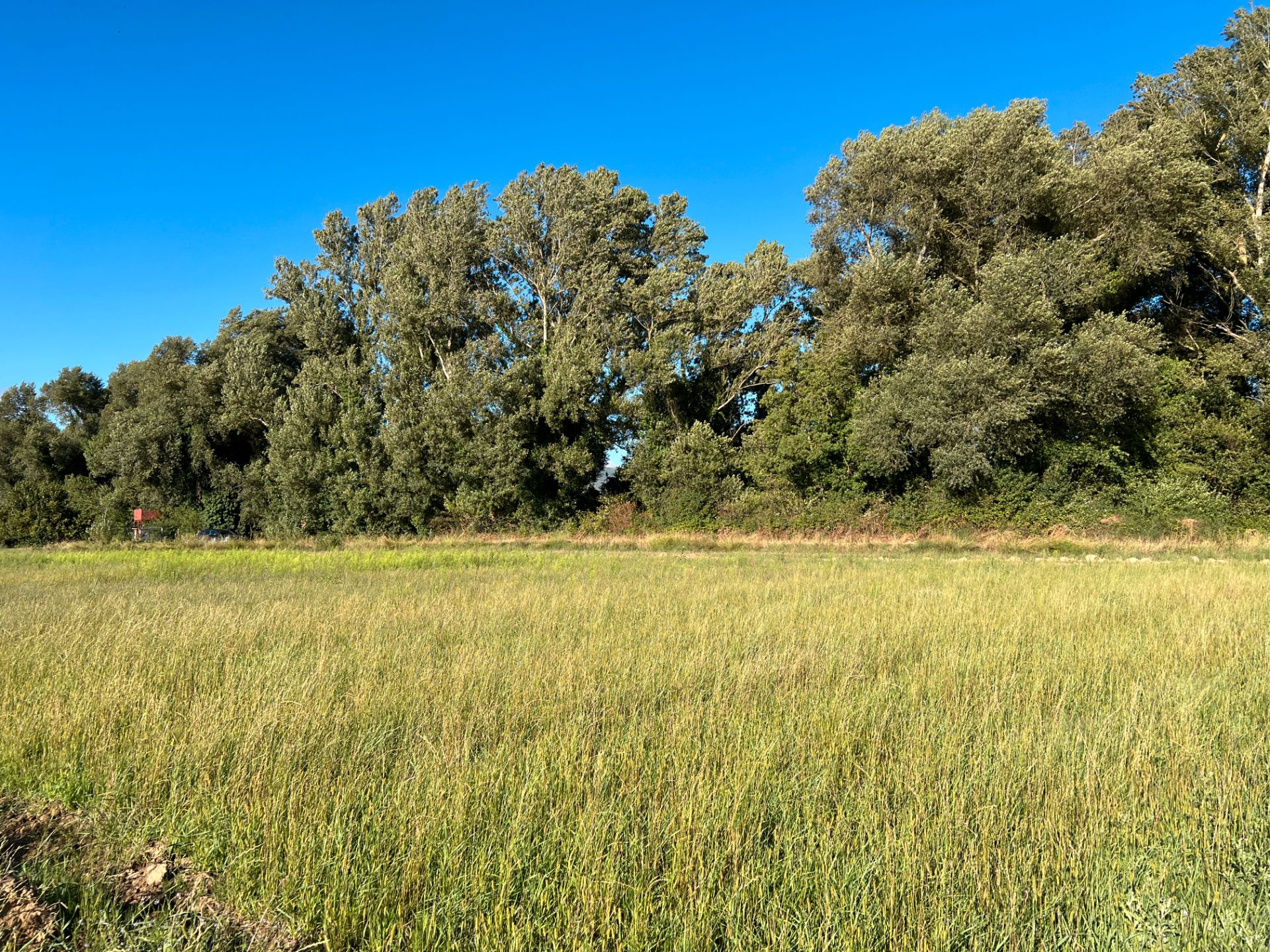 Land for sale in Santa Cilia