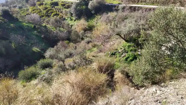 Land for sale in Nerja