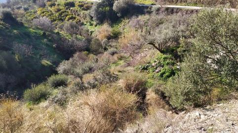 Foto 4 de Terreno en venta en N/a, -1, Maro - Cuevas de Nerja, Nerja