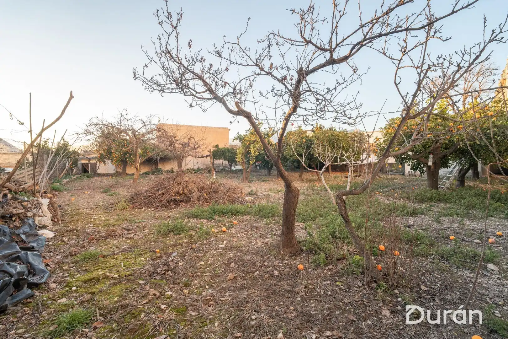 Finca rústica en venda en Alcolea amb Aire condicionat, Jardí privat i Traster