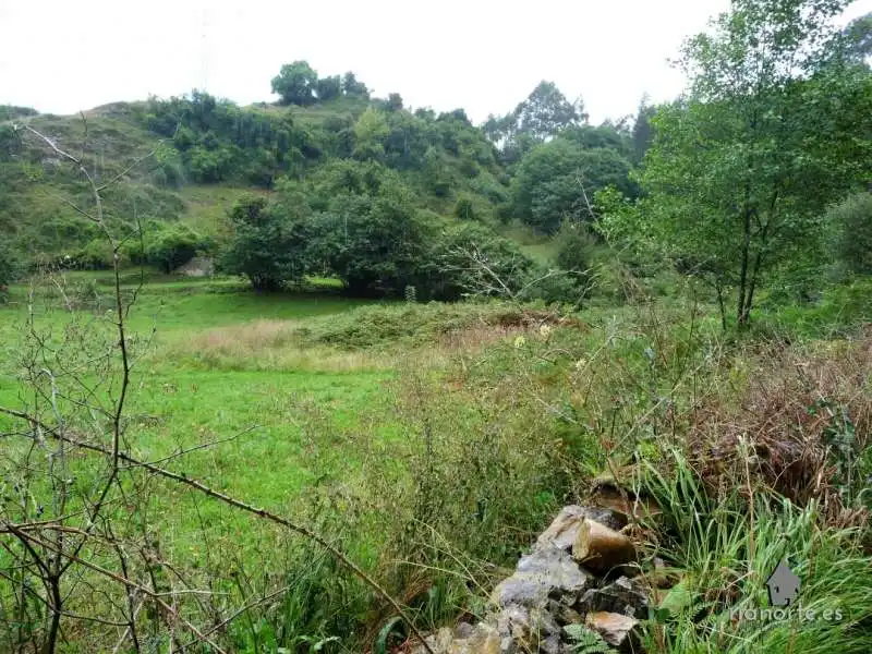 Lands and plots for sale in Pillarno