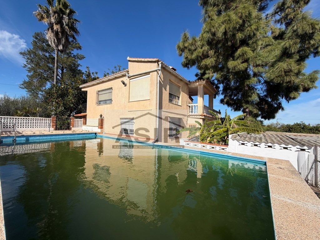 Exterior view of House or chalet for sale in Alzira  with Private garden, Terrace and Swimming Pool