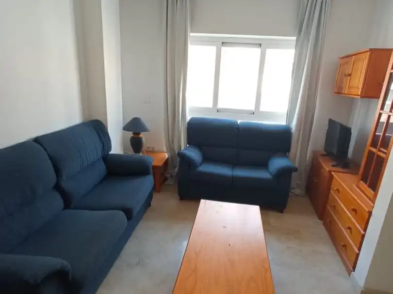 Sala d'estar de Pis de lloguer en Granada amb Terrassa