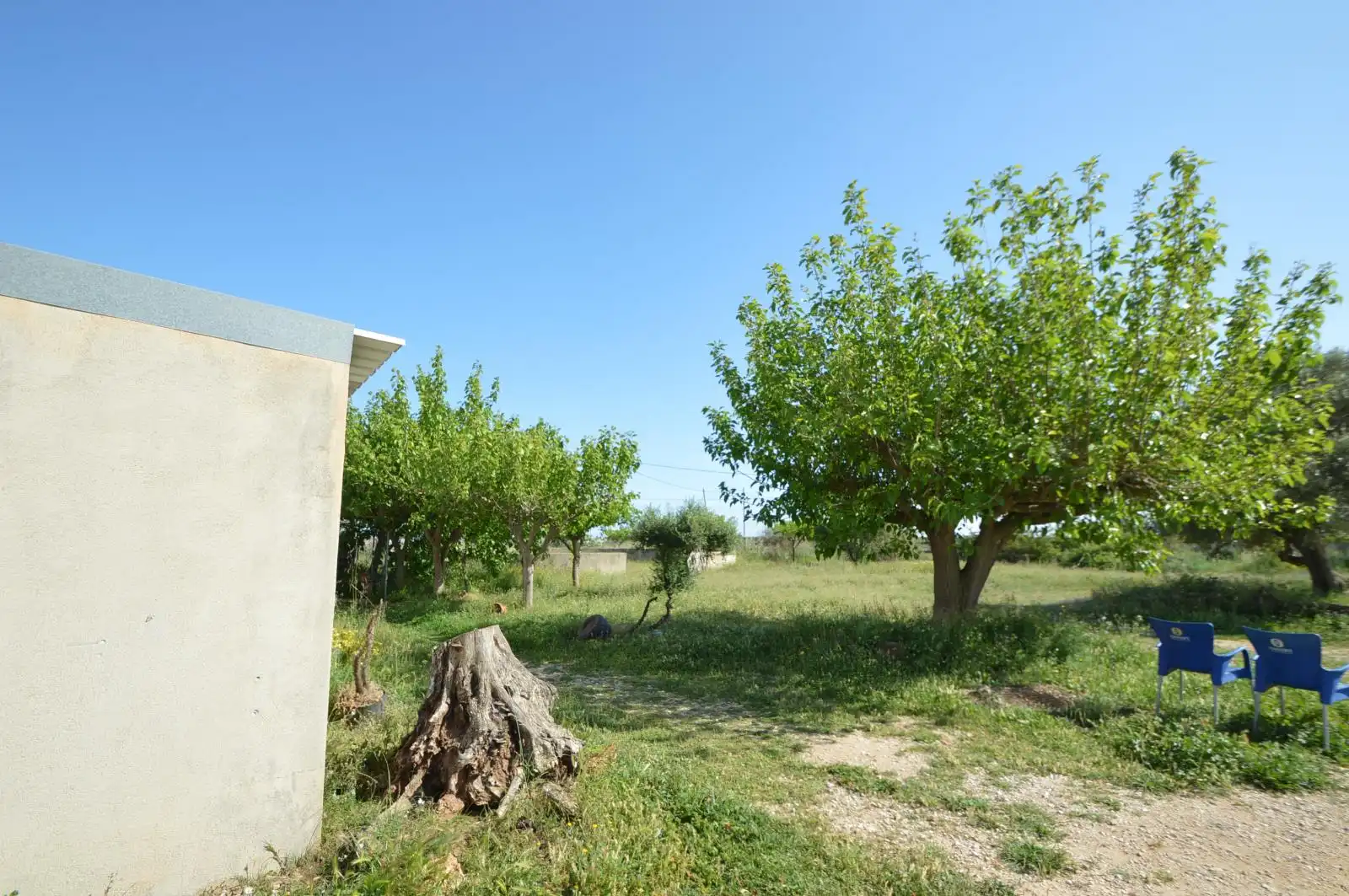 Terreno rustico in vendita a Partidas de interior - Zona Rústica, imagen 50