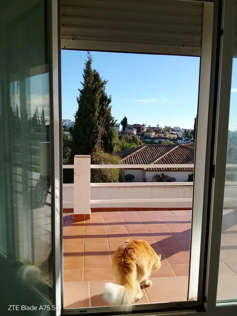 Villa avec piscine à vendre à Campo de Mijas, imagen 9