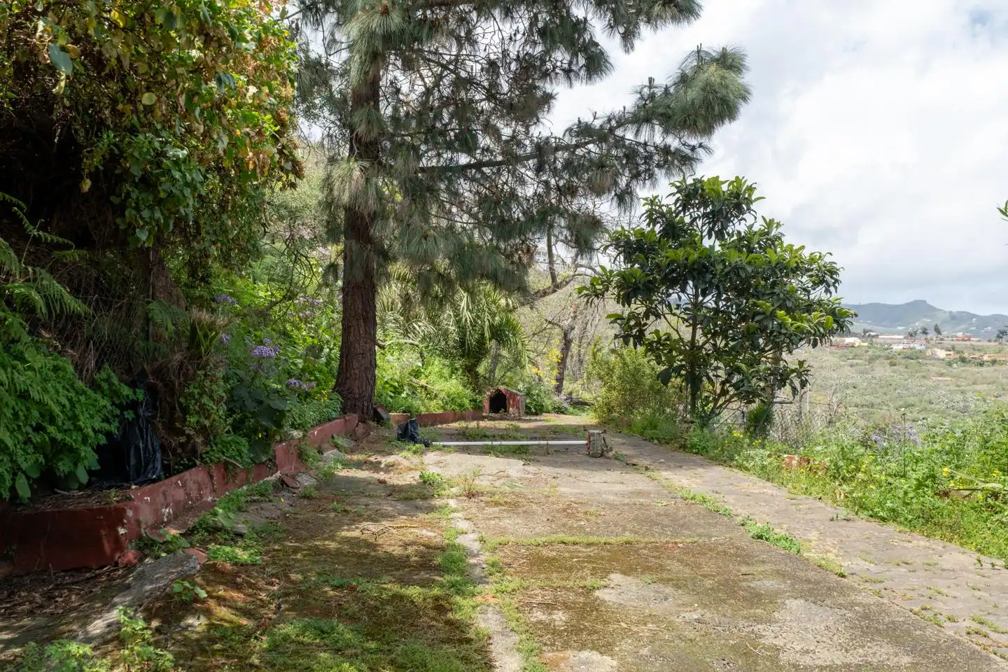 Haus zum Verkauf in Vega de San Mateo, imagen 25