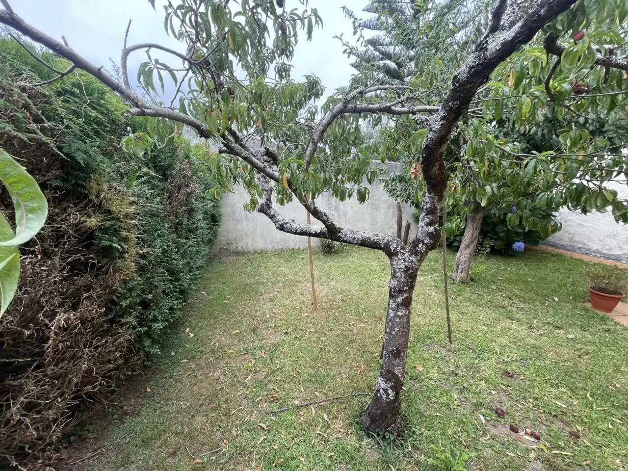 Maison avec jardin à vendre à Camino Cerdeira, imagen 22