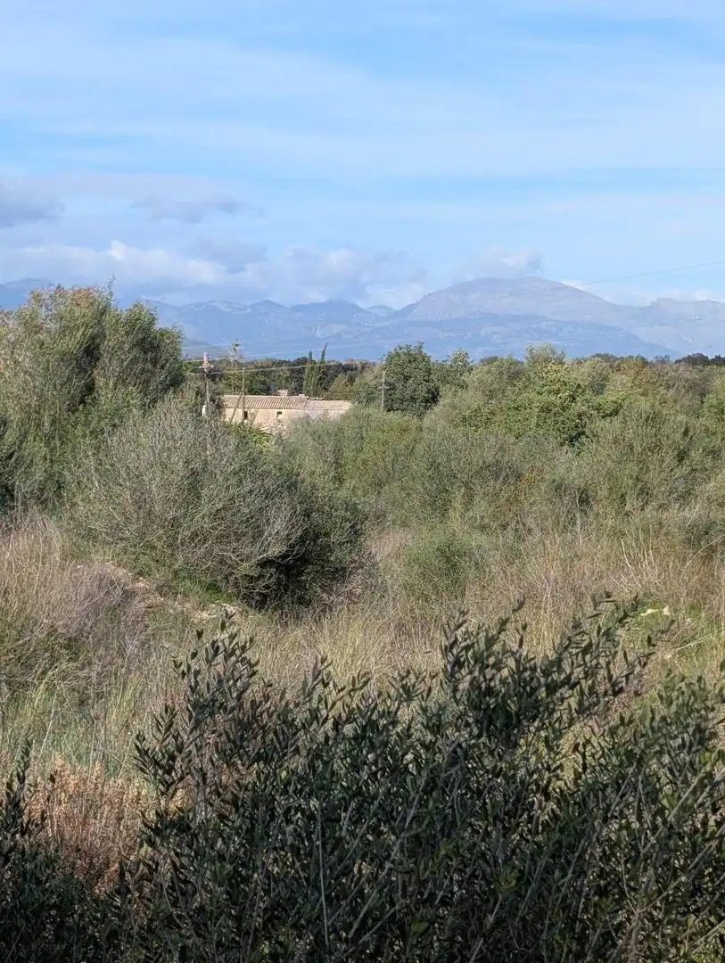 Terrain rustique à vendre à Sineu, imagen 2