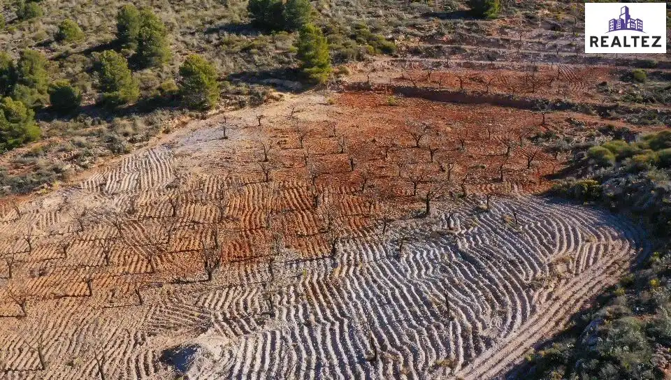 Terrain rustique à vendre à Alcolea, imagen 2