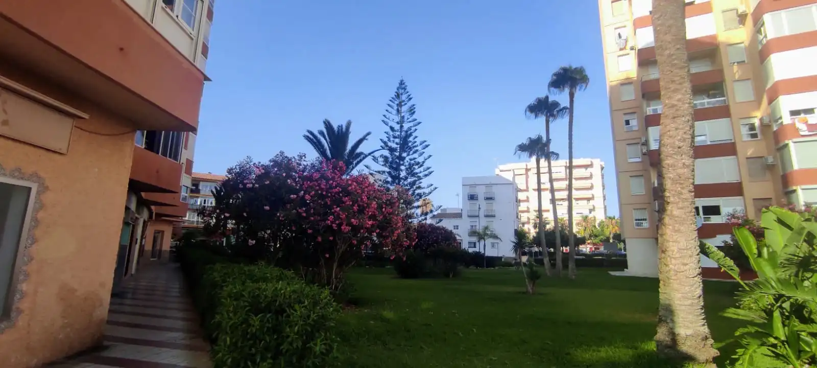 Appartement avec piscine à vendre à Avenida García Peñalver 78, imagen 6